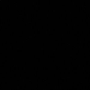 Meet your Posher, Amiyah